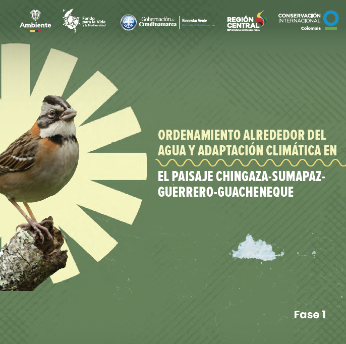 Captura de pantalla 2025-11-11 a la(s) 9.37.50 a.m..png